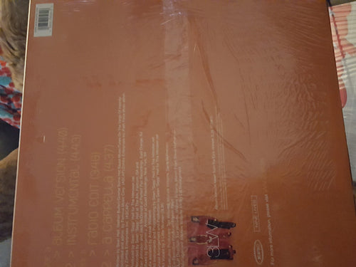3LW : Playas Gon Play (12")